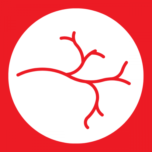 Vaskularna hirurgija